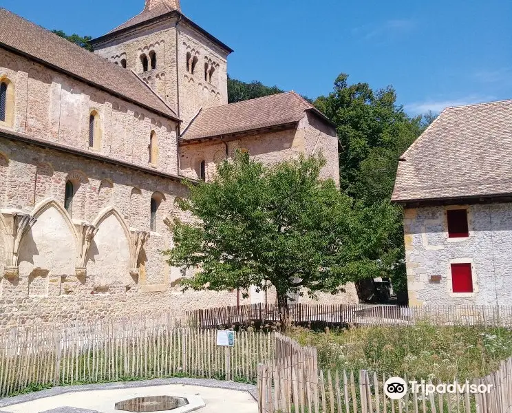 Klosterkirche Romainmotier