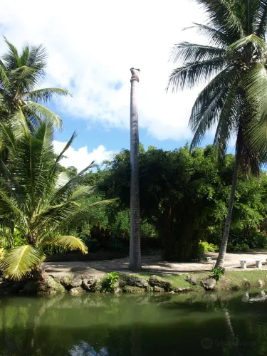 フォークストーン