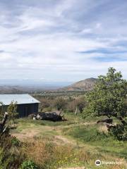 Nichols Ranch and Orchards