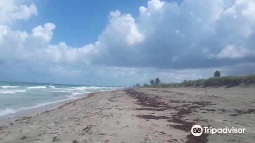 Dr. Von D. Mizell-Eula Johnson State Park