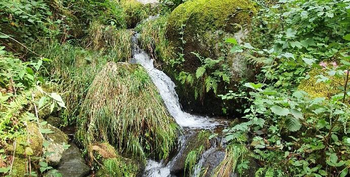 Gaisholl-Wasserfalle