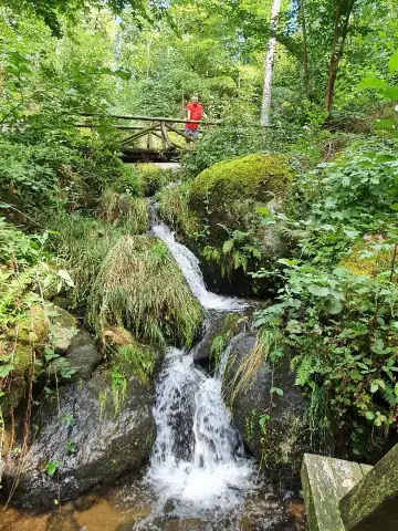 Hotels in Sasbachwalden