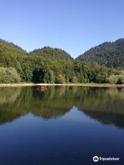 Biogradska Gora National Park