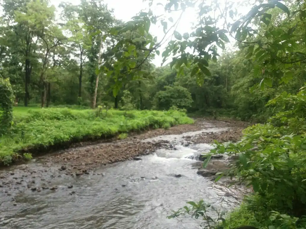 Tansa Dam 주변 호텔