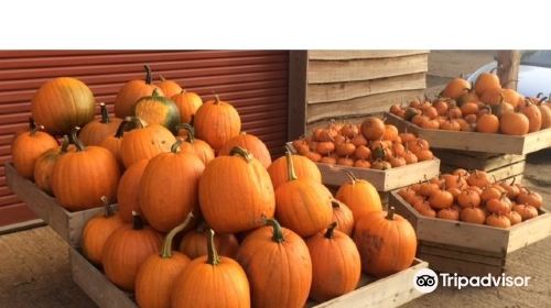 Wykham Park Farm Shop