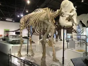 Himeji City Science Museum