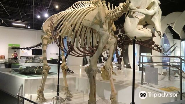 Himeji City Science Museum