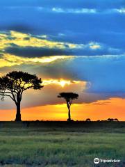 African Savannah Holiday