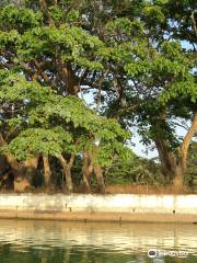 Ulsoor Lake