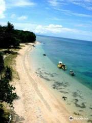 Santo Island Dive and Fishing