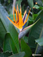 Centennial Botanical Conservatory