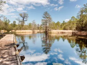 Old Santee Canal State Park