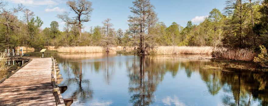 Old Santee Canal Park