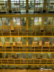 Cell Block 7
