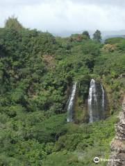 Waipuhia Falls
