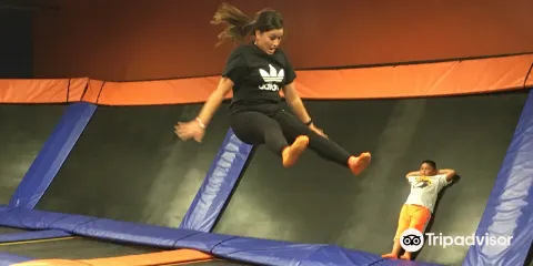 Sky Zone Trampoline Park