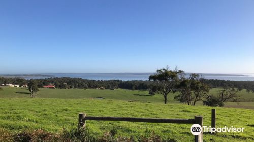 The Shuntoff Lookout