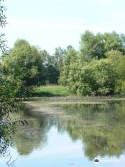 Ankeny National Wildlife Refuge