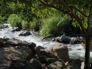 Pipeline Trail (Waterfall)