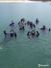 Scuba Divers Pardise