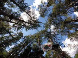 Flying Park