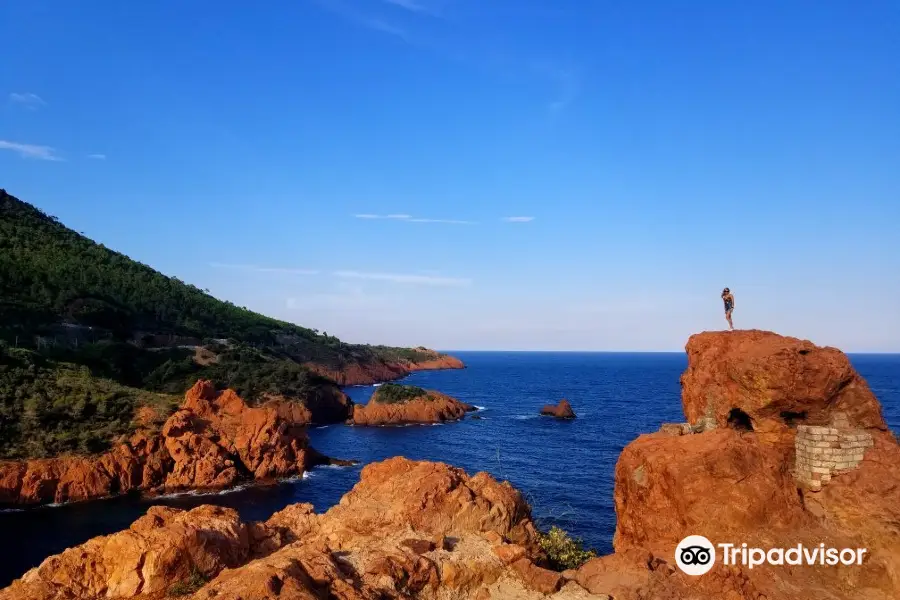 Booking Bikes Fréjus : Location Vélos, Scooters Et Motos