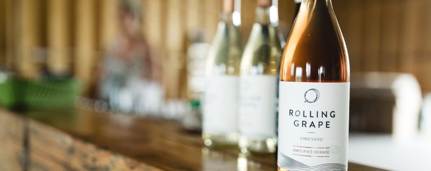 Rolling Grape Vineyard