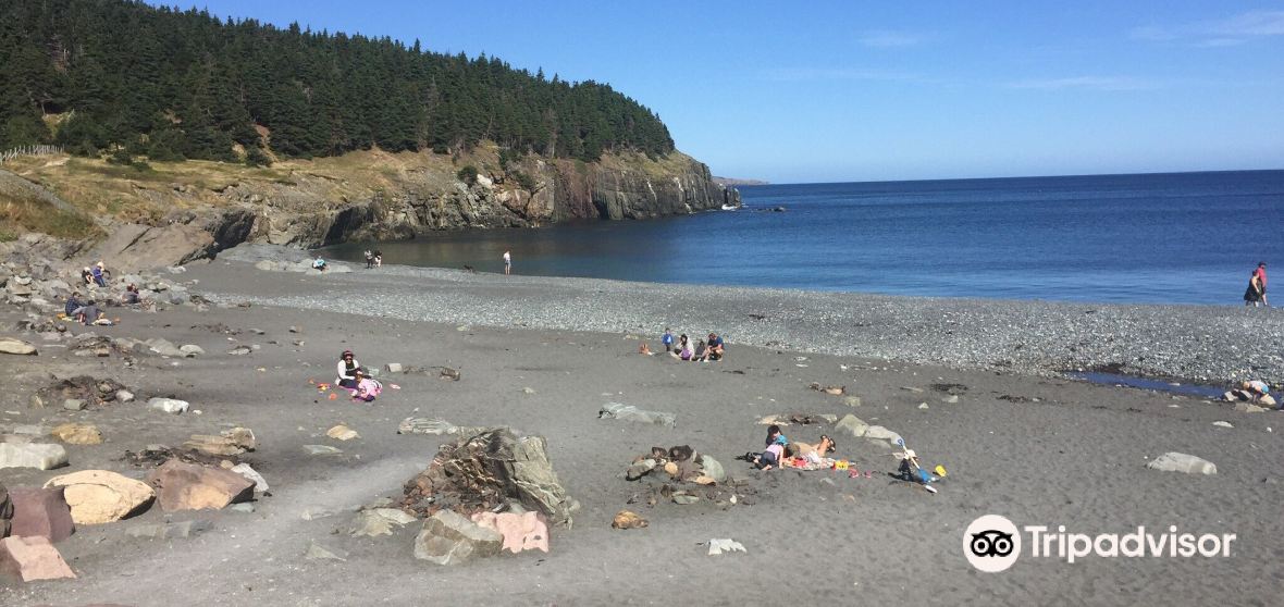 Things to Do in Pouch Cove in 2024 Top Attractions, Local Food, Hotels & Travel Tips