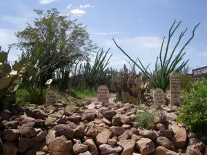 Boothill Graveyard