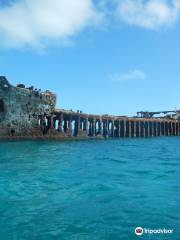 Bimini Undersea