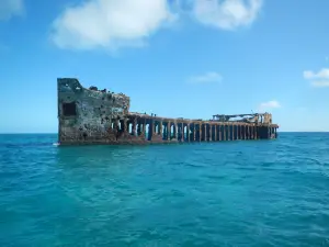 Bimini Undersea