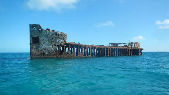 Bimini Undersea