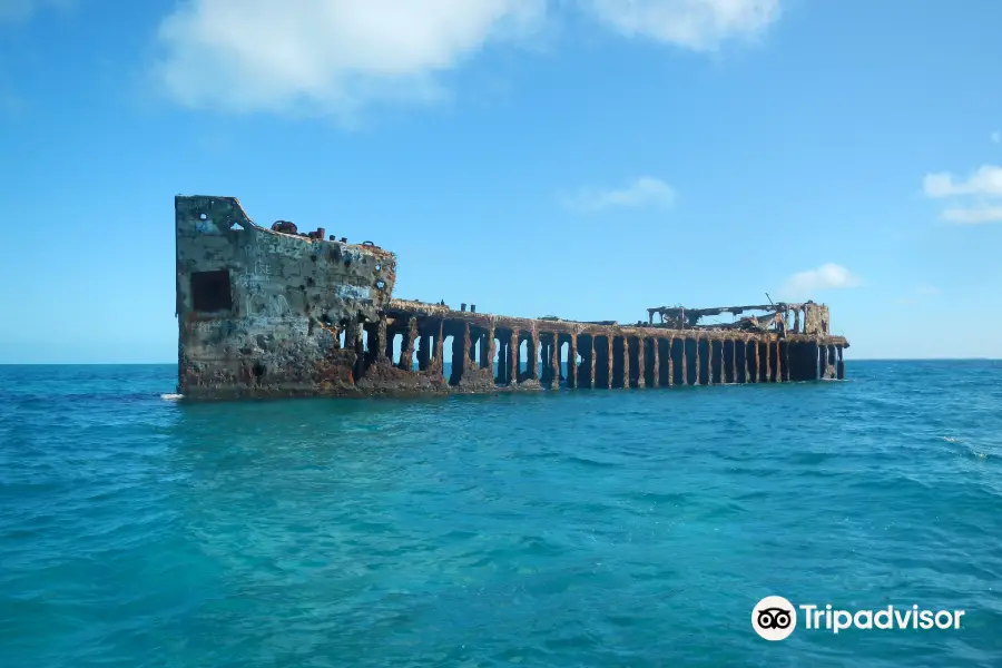 Bimini Undersea