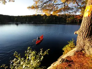 Algonquin Outfitters - Oxtongue Lake