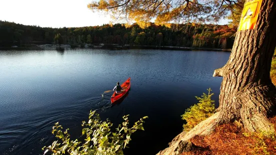 Algonquin Outfitters - Oxtongue Lake