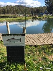 Eildon Trout Farm