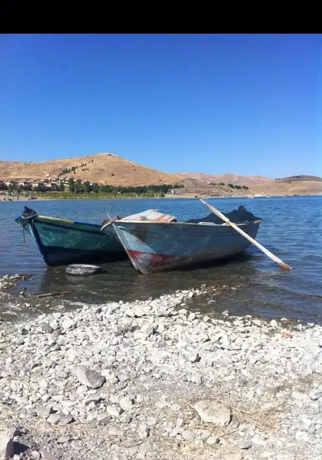 فنادق في فراو