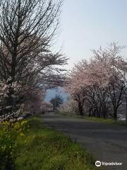 Oshimazutsumi Cycling Road
