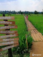 100 Years Old Wooden Bridge