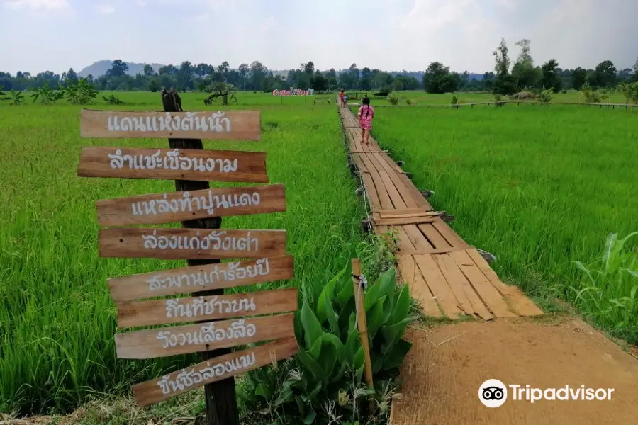 สะพานไม้ 100 ปี