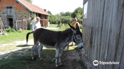 Ferme Chene de Greletti