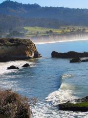 Año Nuevo State Park