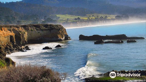 Año Nuevo State Park