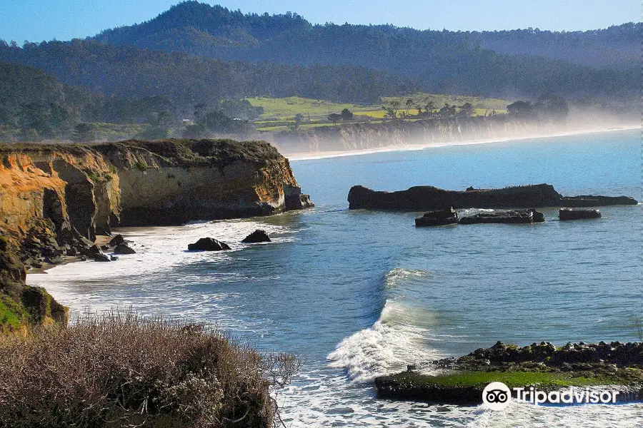 Año Nuevo State Park