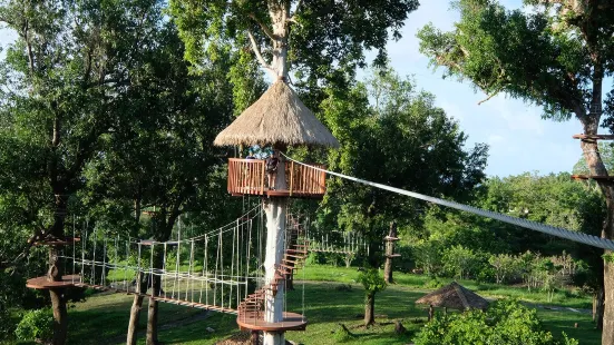 Manado Treetop Zipline Park