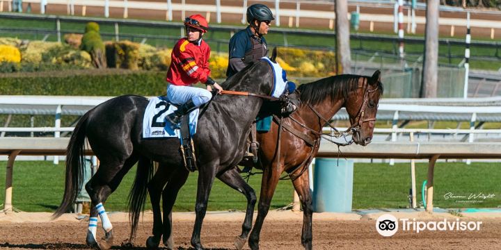Santa Anita Park