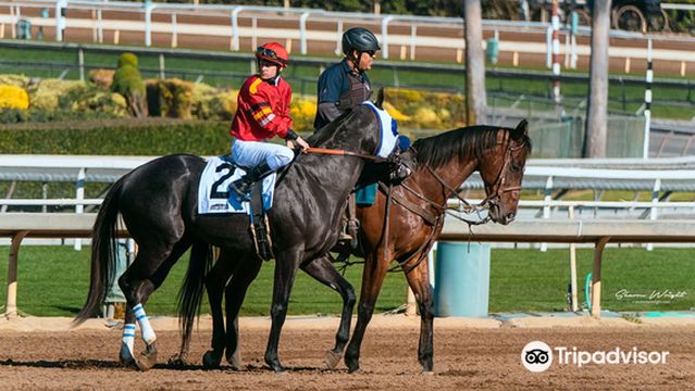 Santa Anita Park