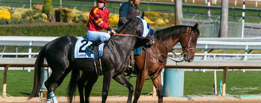 Santa Anita Park