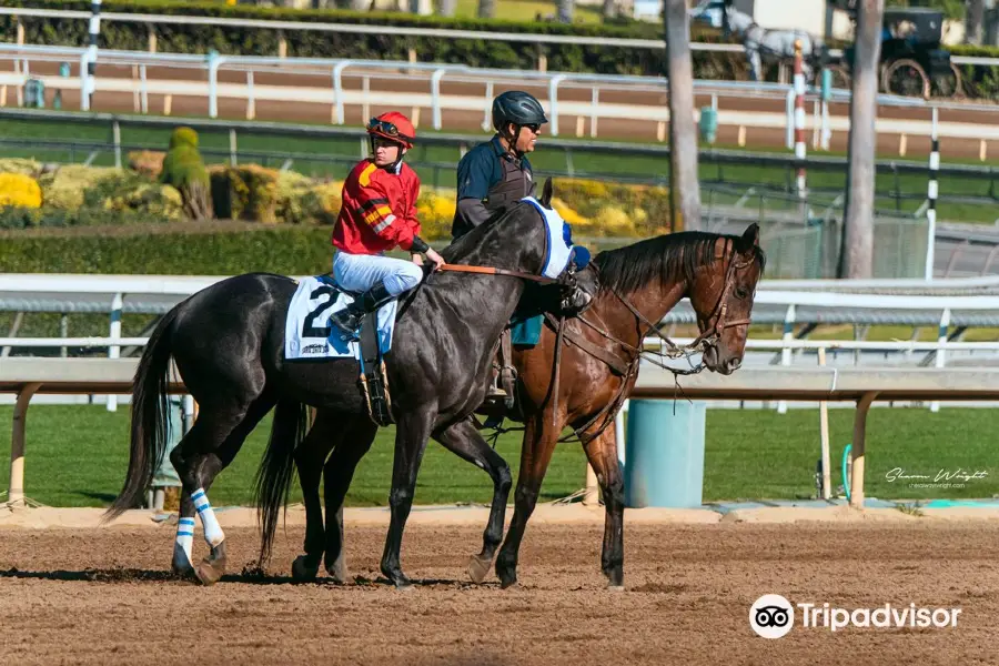 サンタアニタパーク競馬場