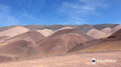 Laguna Brava